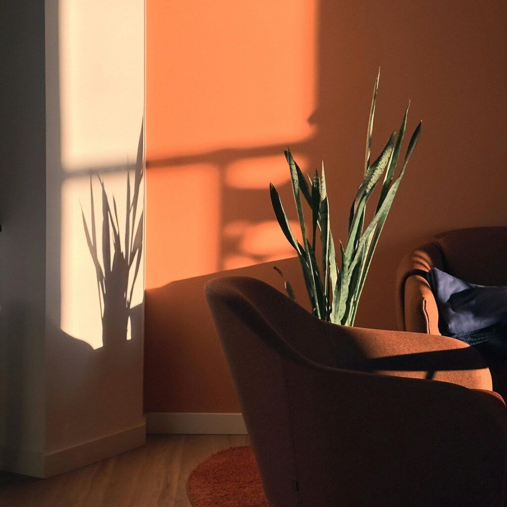 Painting Accent Walls | The 9 Best Accent Wall Color Ideas | Oak City  Coatings, image size:1024x1024