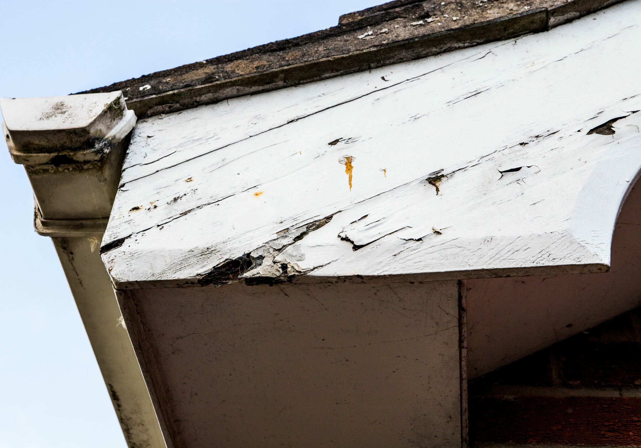 peeling-fascia-oak-city-coatings-cary